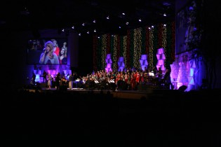 2009 December (6)